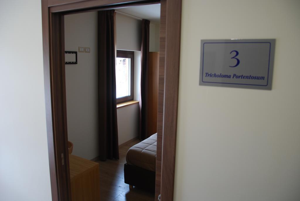 Guest House Caracas Lorica Exteriör bild