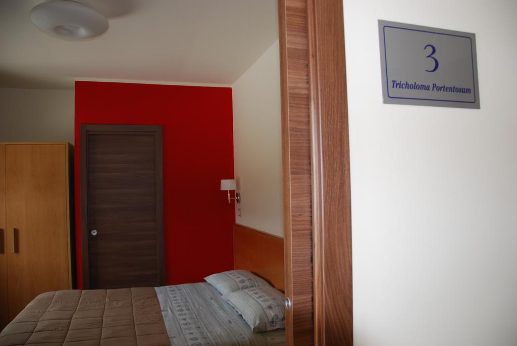 Guest House Caracas Lorica Exteriör bild